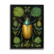 Stupell Industries Botanical Beetle Study Animals & Insects Painting Black Framed Art Print Wall Art, 11 x 14