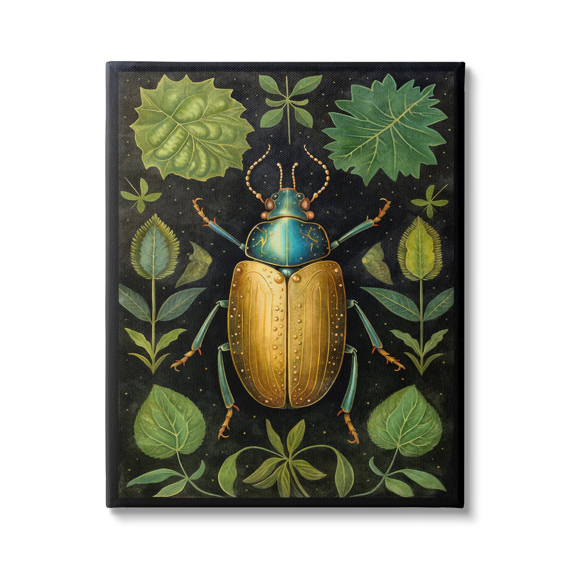 Stupell Industries Botanical Beetle Study Animals & Insects Painting Gallery Wrapped Canvas Art Print Wall Art, 36 x 48
