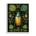 thumbnail image 1 of Stupell Industries Botanical Beetle Study Animals & Insects Painting White Framed Art Print Wall Art, 11 x 14, 1 of 9
