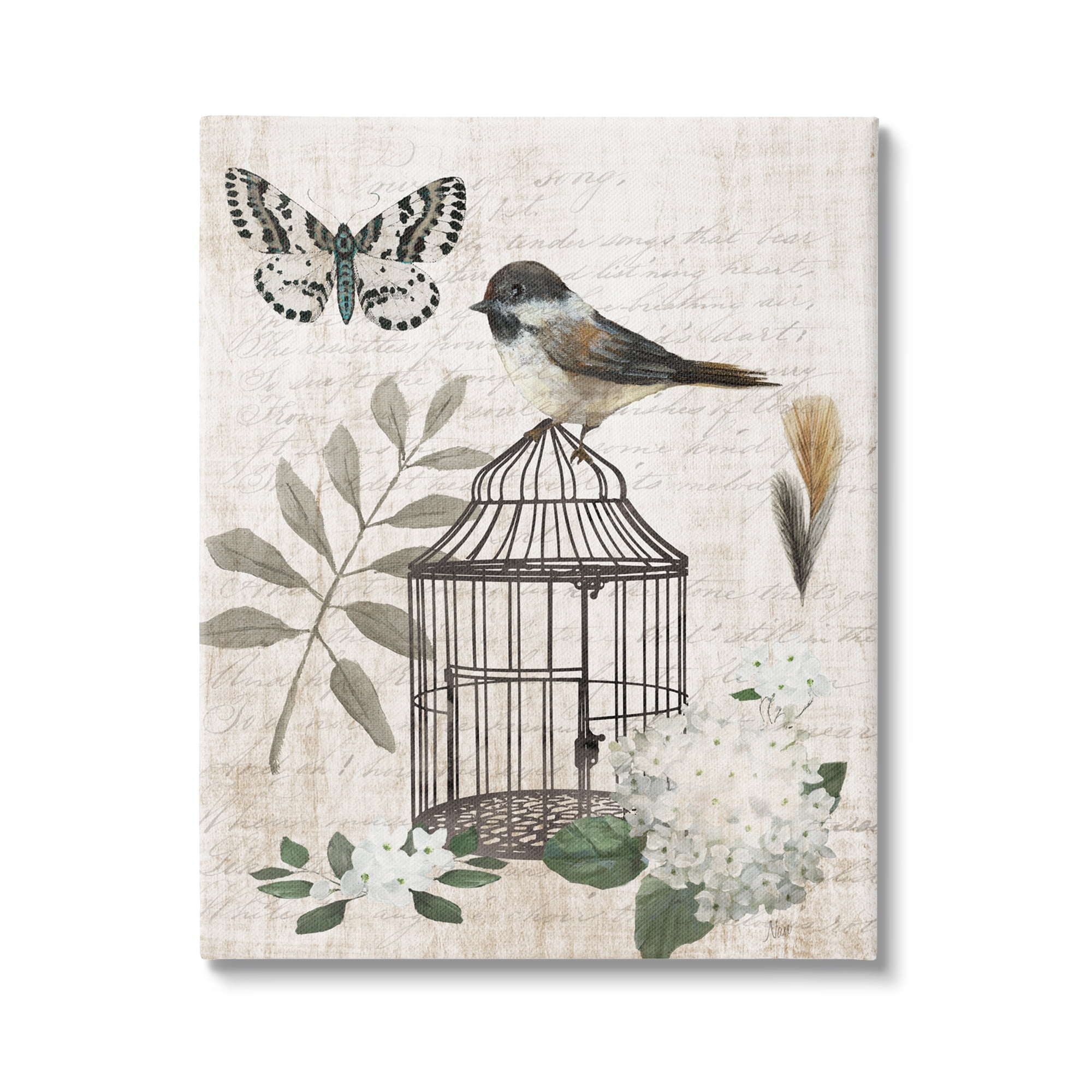 Stupell Industries Botanical Bird Cage Vintage Words Butterfly Motif Graphic Art Gallery Wrapped Canvas Print Wall Art, Design by Nan