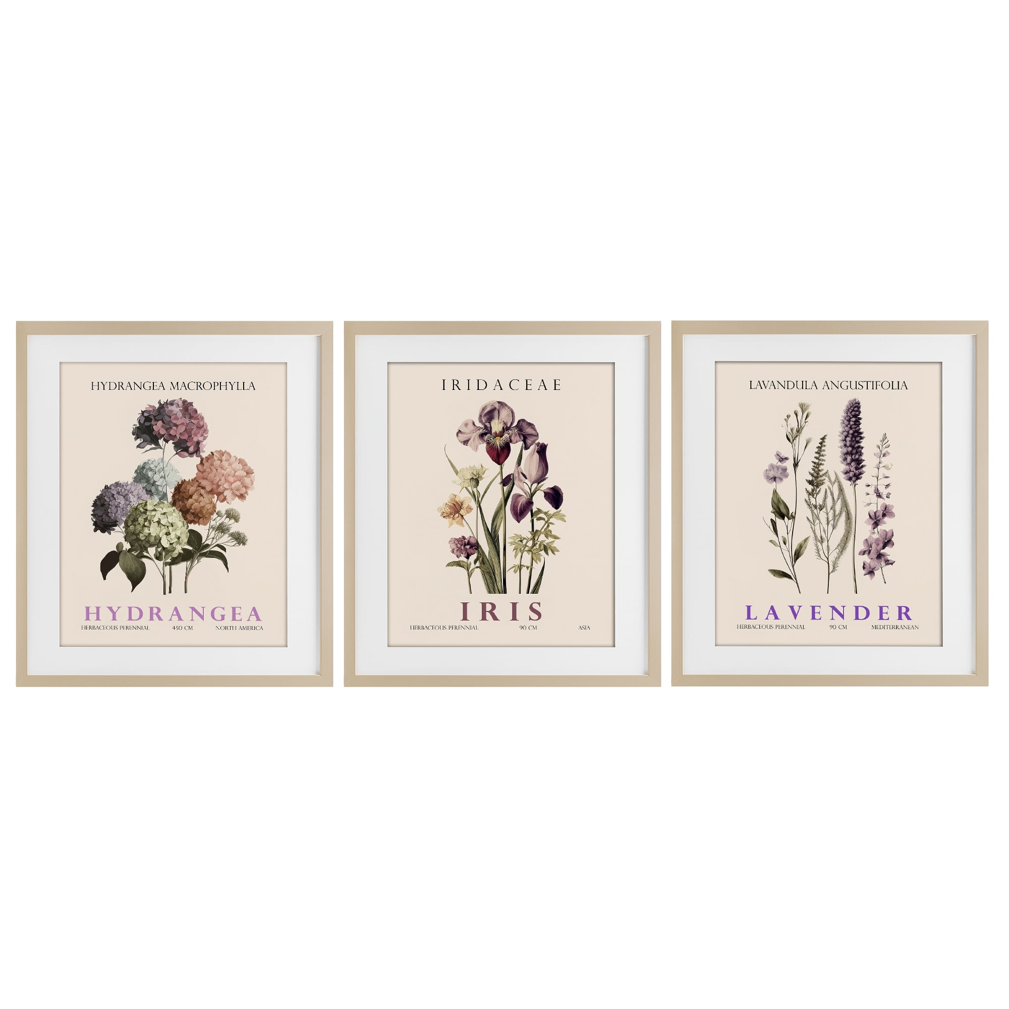 Stupell Industries Botanical Bundles & Sprigs 3 Piece Birch Framed Print Under Glass Set, design by Christopher Giampietro