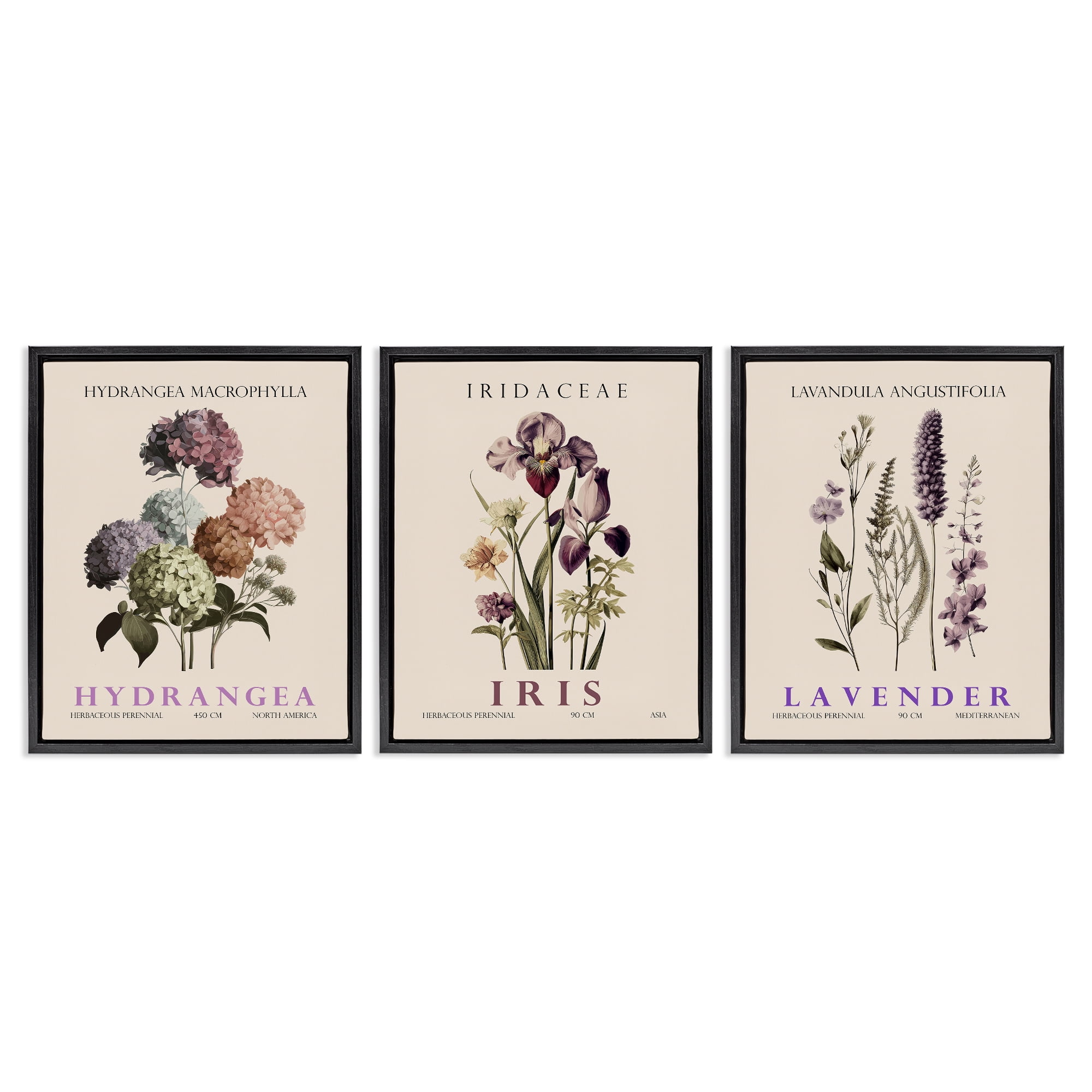 Stupell Industries Botanical Bundles & Sprigs 3 Piece Black Framed Floater Canvas Set, design by Christopher Giampietro