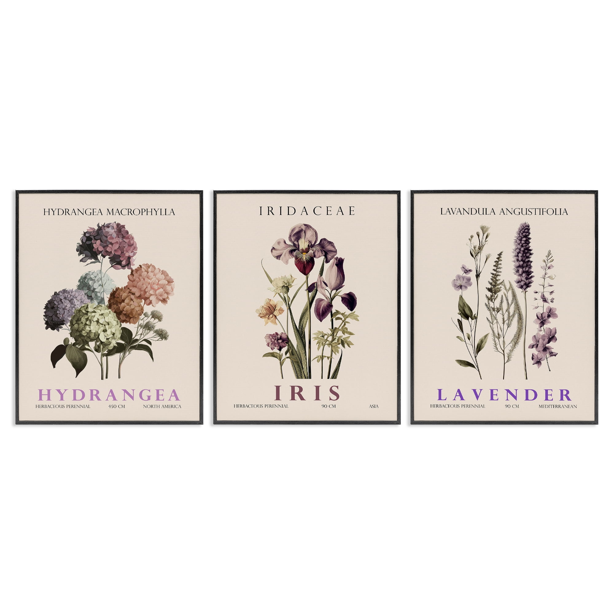 Stupell Industries Botanical Bundles & Sprigs 3 Piece Black Framed Giclee Art Set, design by Christopher Giampietro