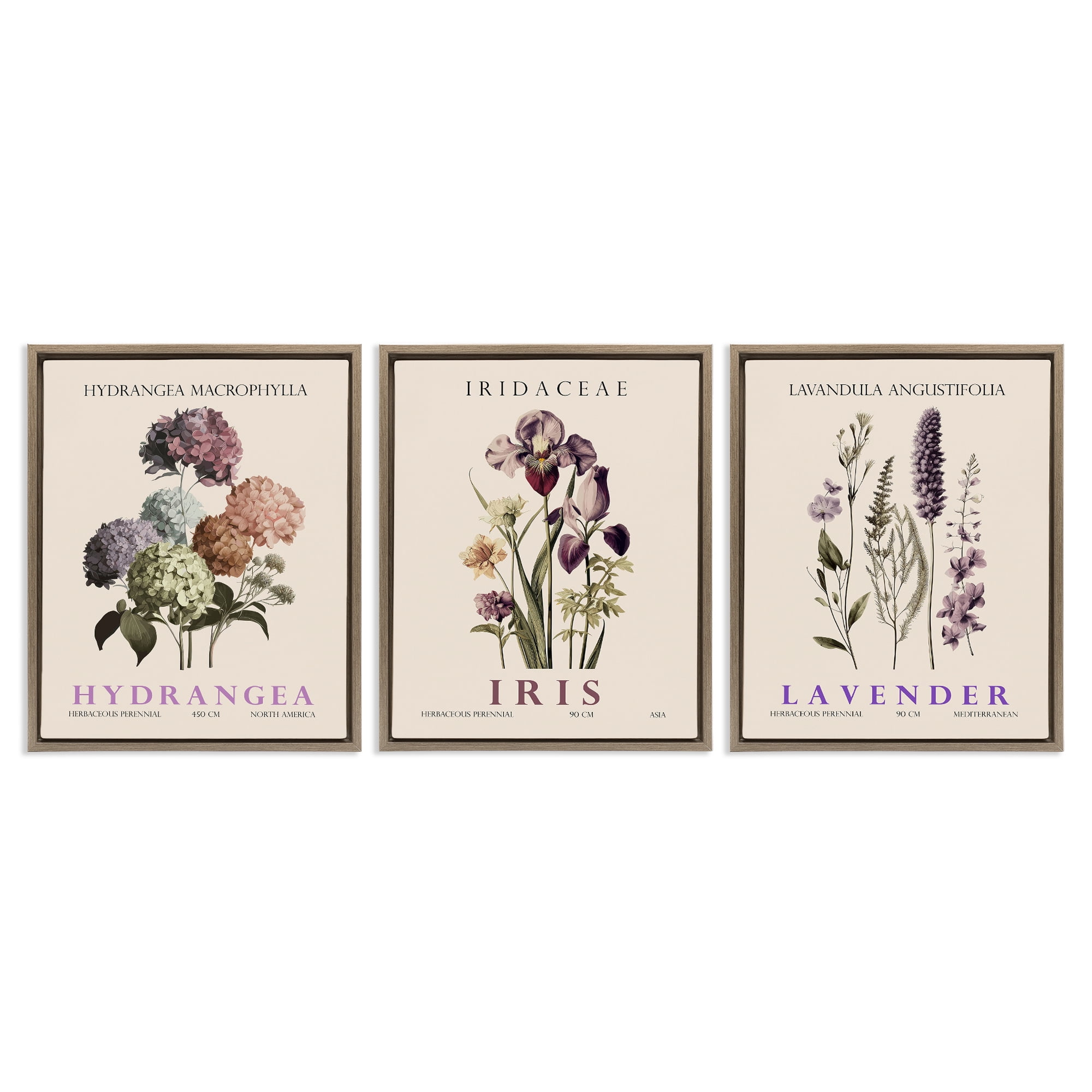 Stupell Industries Botanical Bundles & Sprigs 3 Piece Brown Framed Floater Canvas Set, design by Christopher Giampietro