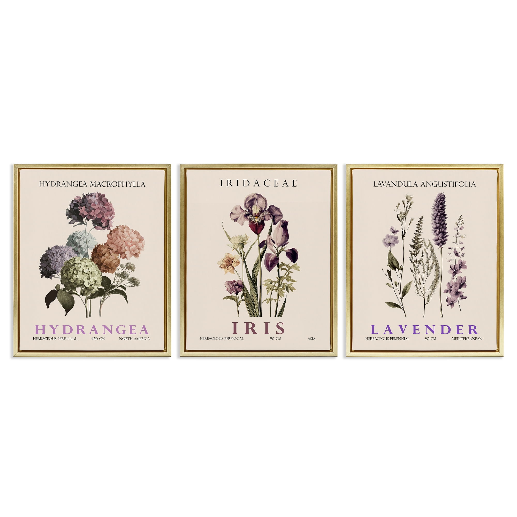 Stupell Industries Botanical Bundles & Sprigs 3 Piece Gold Framed Floater Canvas Set, design by Christopher Giampietro
