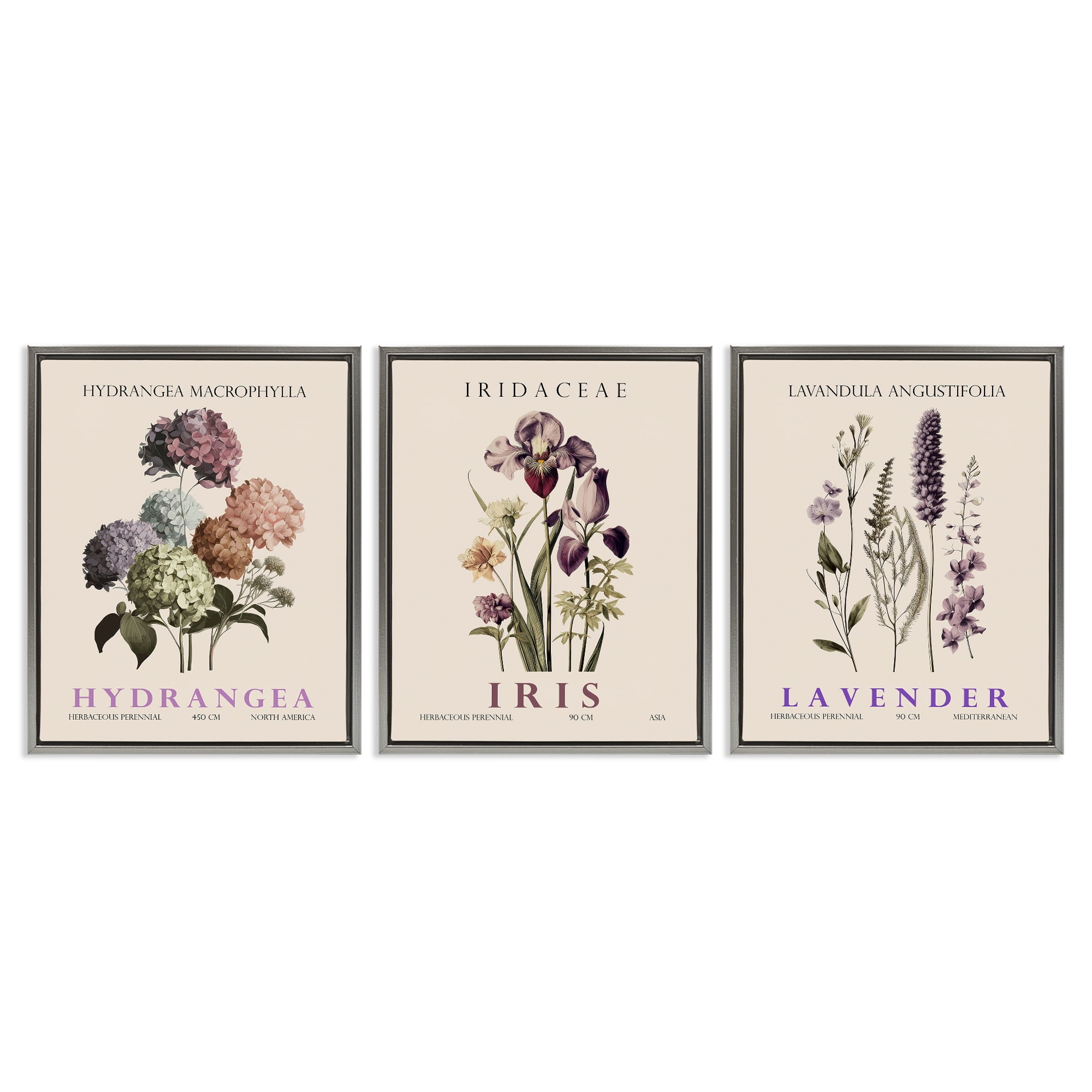 Stupell Industries Botanical Bundles & Sprigs 3 Piece Gray Framed Floater Canvas Set, design by Christopher Giampietro