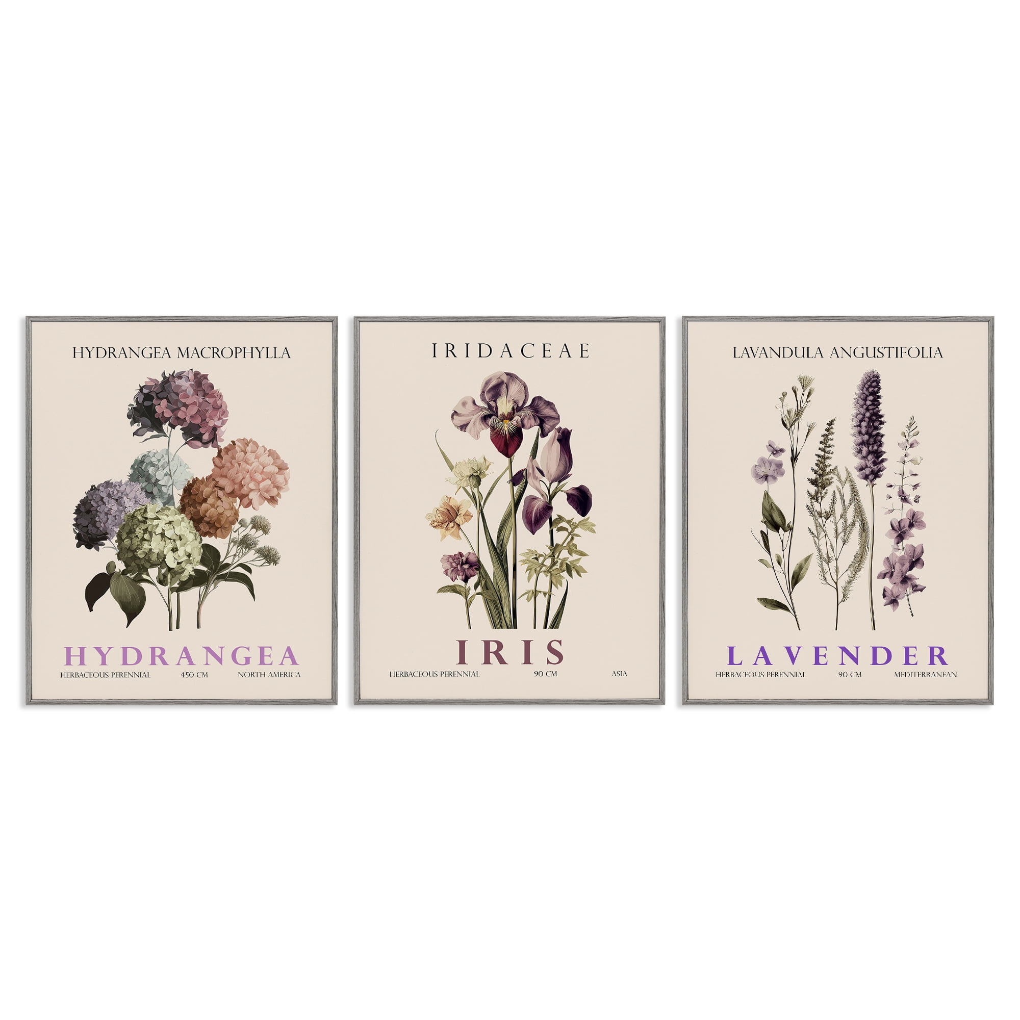Stupell Industries Botanical Bundles & Sprigs 3 Piece Gray Framed Giclee Art Set, design by Christopher Giampietro