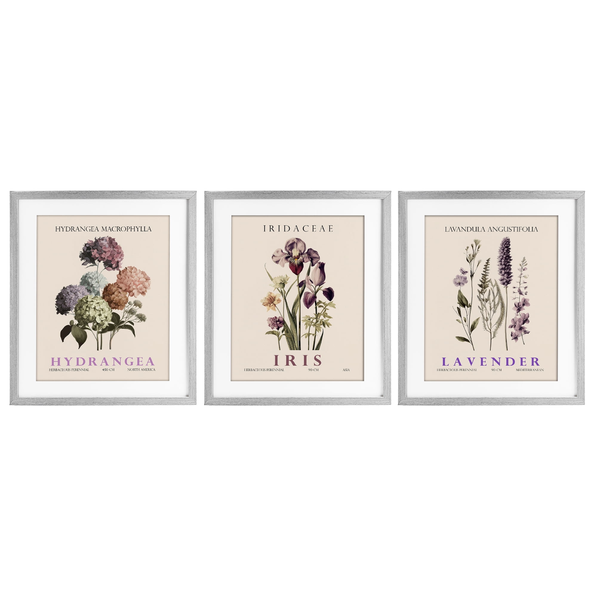 Stupell Industries Botanical Bundles & Sprigs 3 Piece Gray Framed Print Under Glass Set, design by Christopher Giampietro