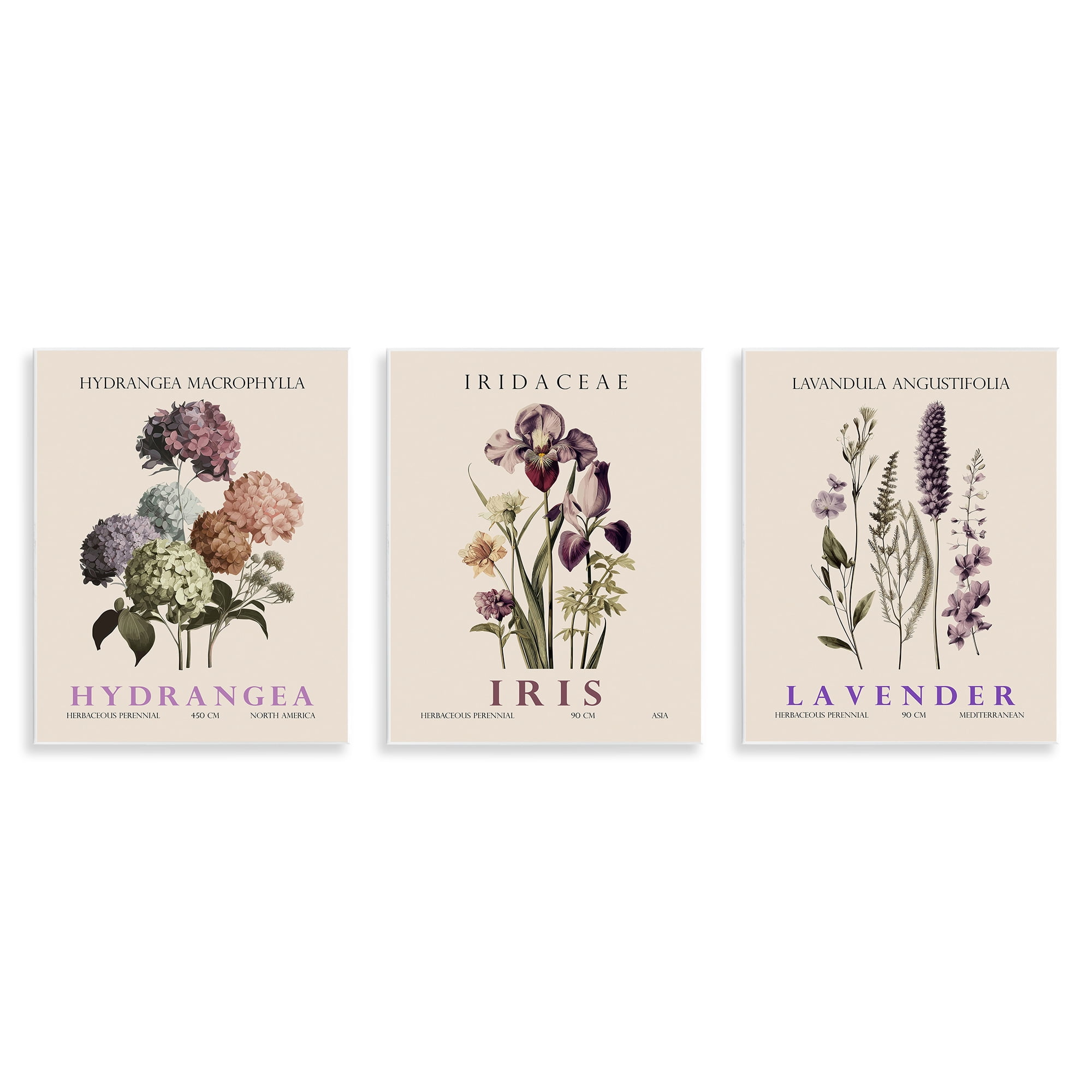 Stupell Industries Botanical Bundles & Sprigs 3 Piece Wall Plaque Art Set, design by Christopher Giampietro