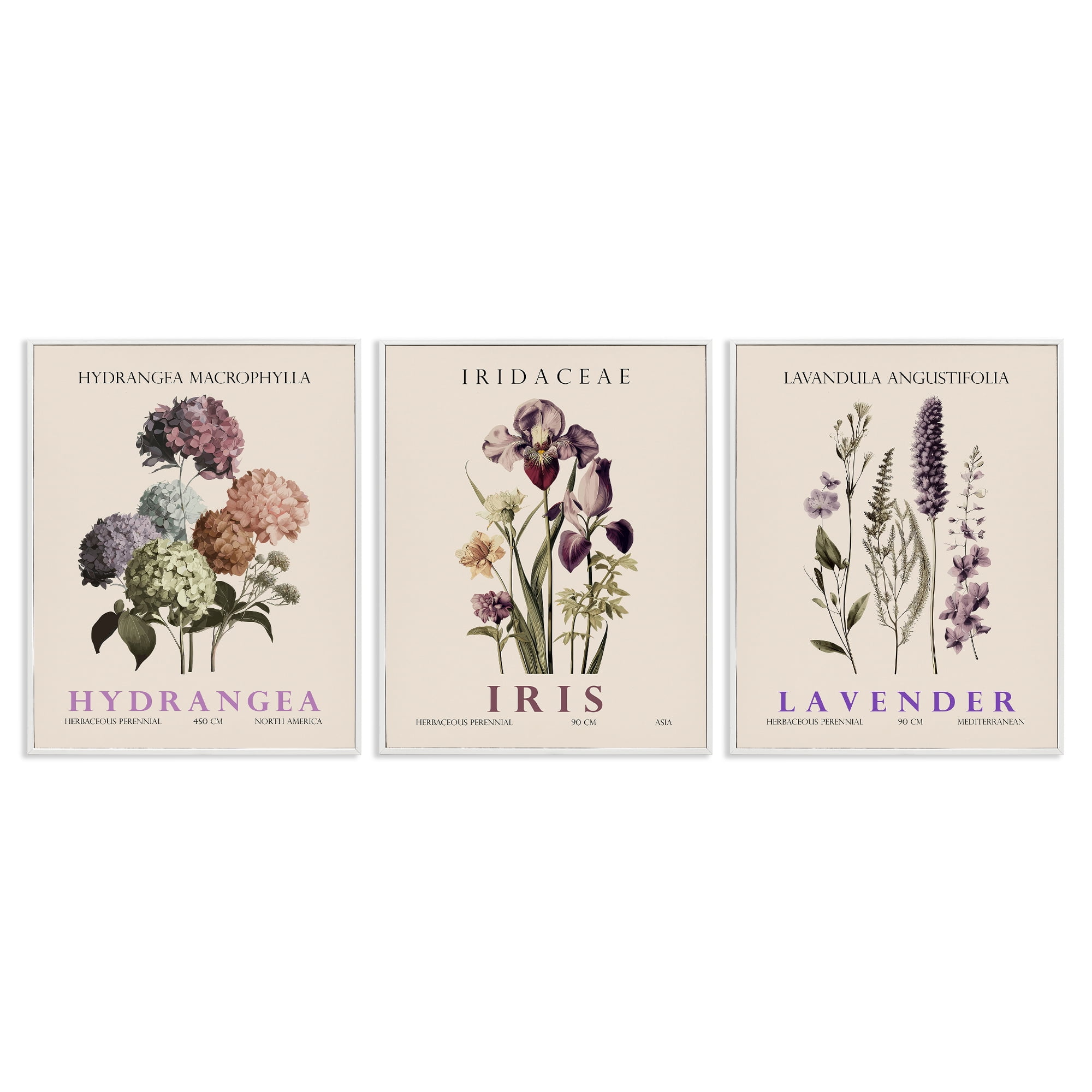 Stupell Industries Botanical Bundles & Sprigs 3 Piece White Framed Giclee Art Set, design by Christopher Giampietro