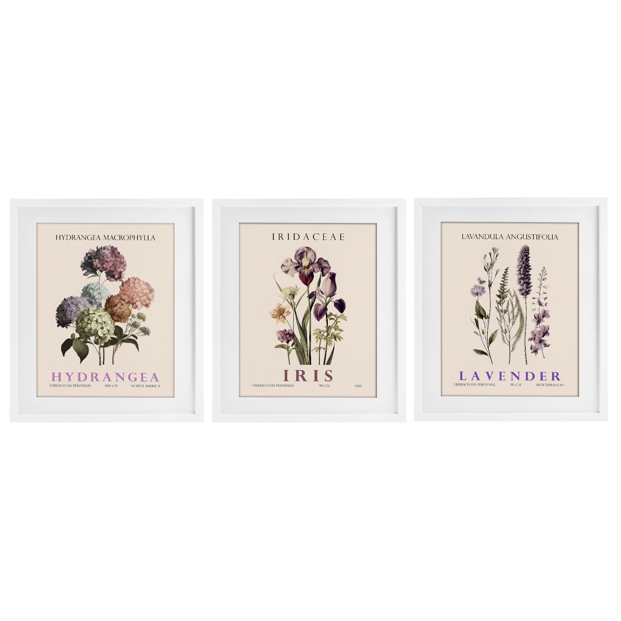 Stupell Industries Botanical Bundles & Sprigs 3 Piece White Framed Print Under Glass Set, design by Christopher Giampietro