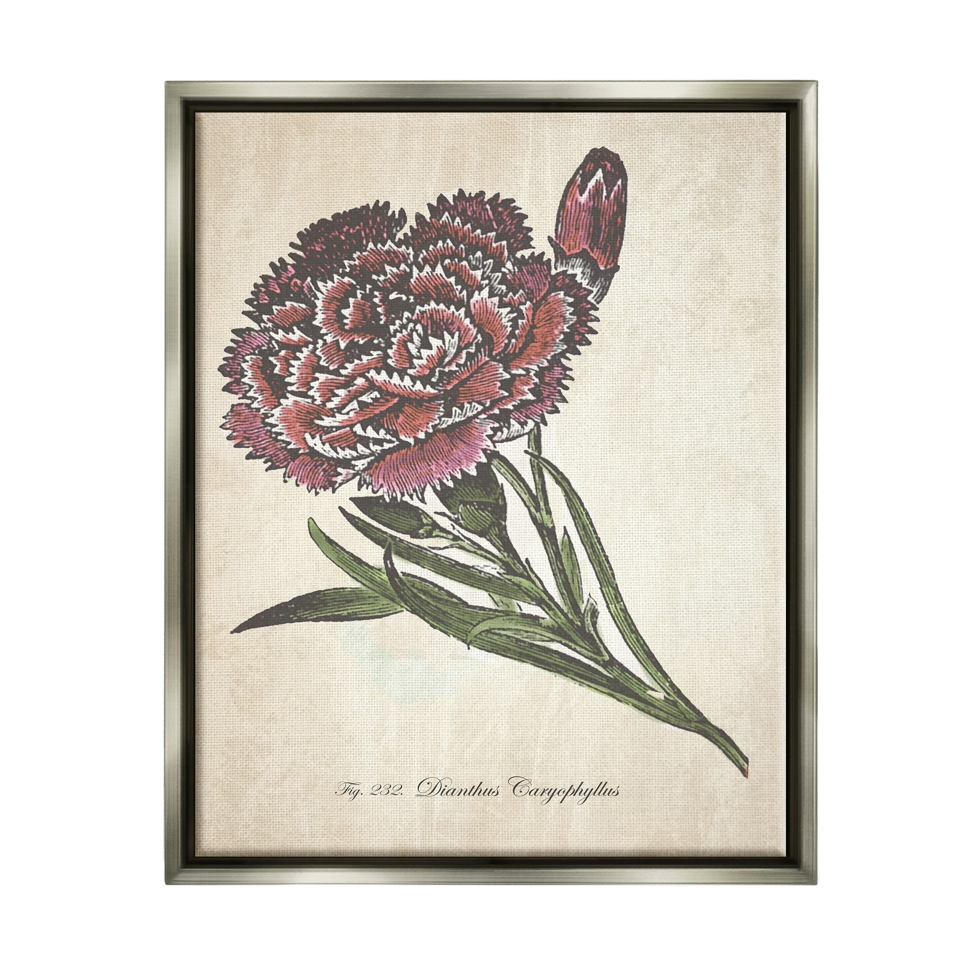 Stupell Industries Botanical Carnation Flower Drawing Red Green Design Luster Gray Framed Floating Canvas Wall Art, 16x20, by The Saturday Evening Post