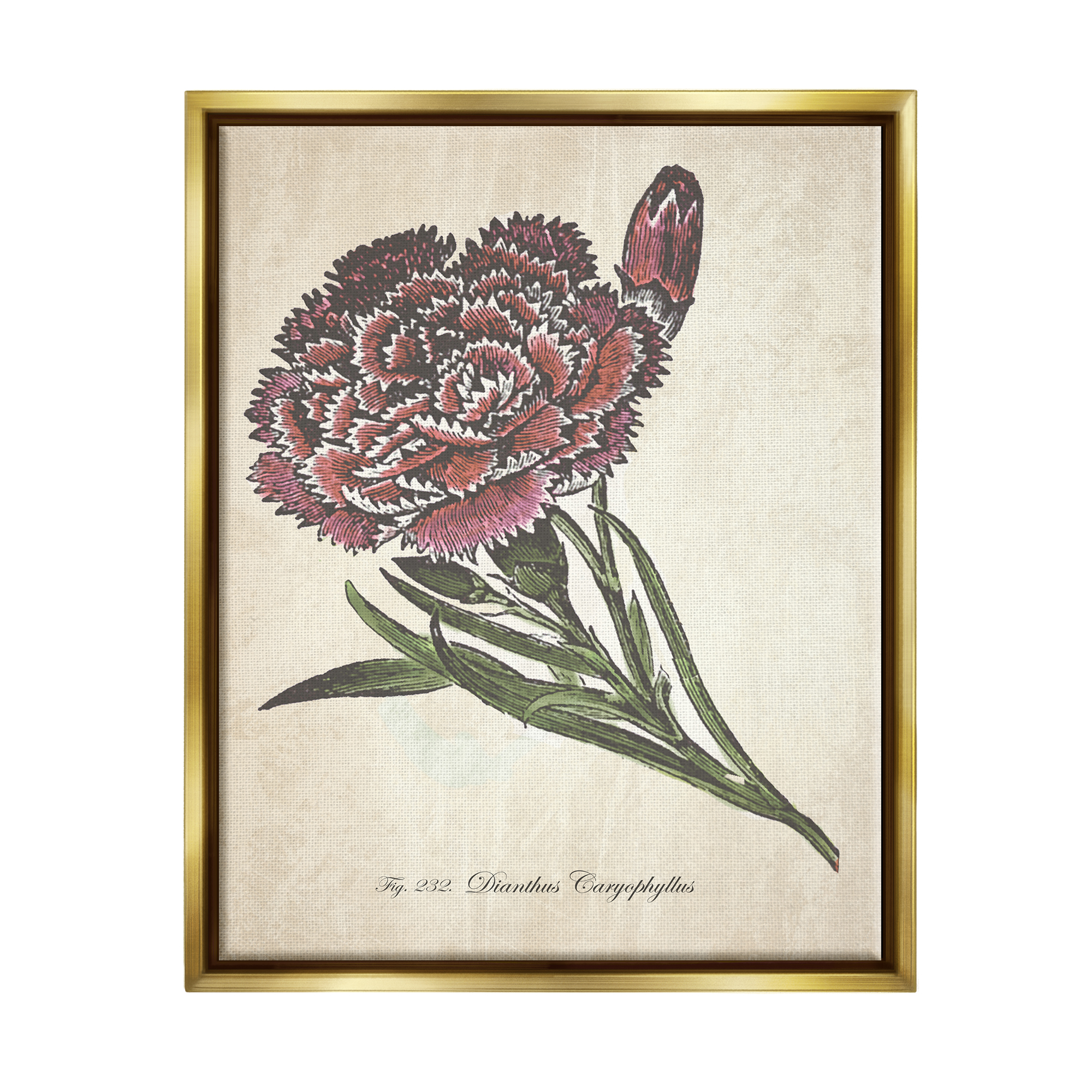 Stupell Industries Botanical Carnation Flower Drawing Red Green Design Metallic Gold Framed Floating Canvas Wall Art, 24x30, by The Saturday Evening Post