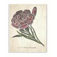 thumbnail image 1 of Stupell Industries Botanical Carnation Flower Drawing Red Green Design Unframed Art Print Wall Art, 13x19, by The Saturday Evening Post, 1 of 5