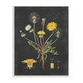 thumbnail image 1 of Stupell Industries Botanical Drawing Dandelion On Black Design Wall Plaque by Lettered and Lined, 1 of 6