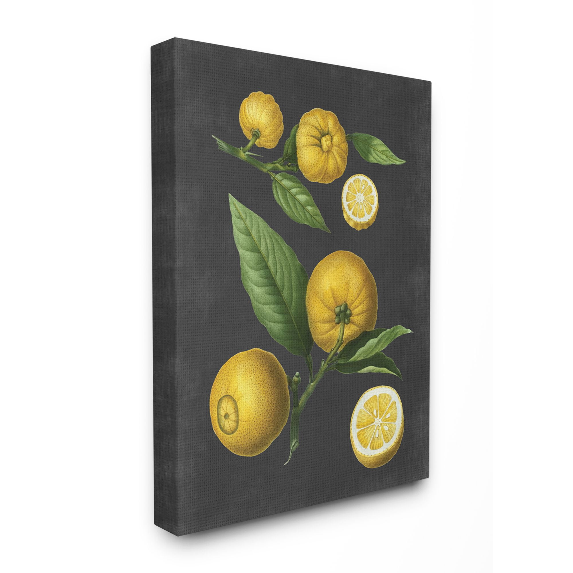 Stupell Industries Botanical Drawing Lemons On Black Design Canvas Wall Art by Lettered and Lined