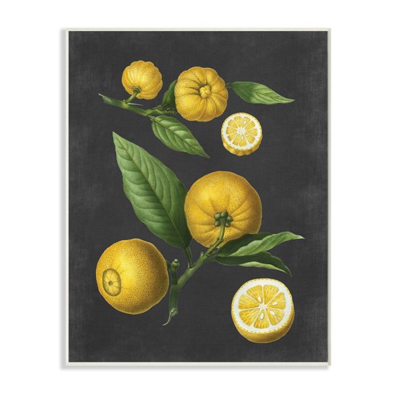 Stupell Industries Botanical Drawing Lemons On Black Design Wall Plaque by Lettered and Lined