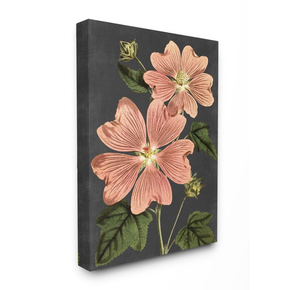 Stupell Industries Botanical Drawing Pink Flower On Black Design Canvas Wall Art by Lettered and Lined