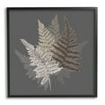 thumbnail image 1 of Stupell Industries Botanical Fern Leaves Modern Layered Nature Design Graphic Art Black Framed Art Print Wall Art, Design by House of Rose, 1 of 7