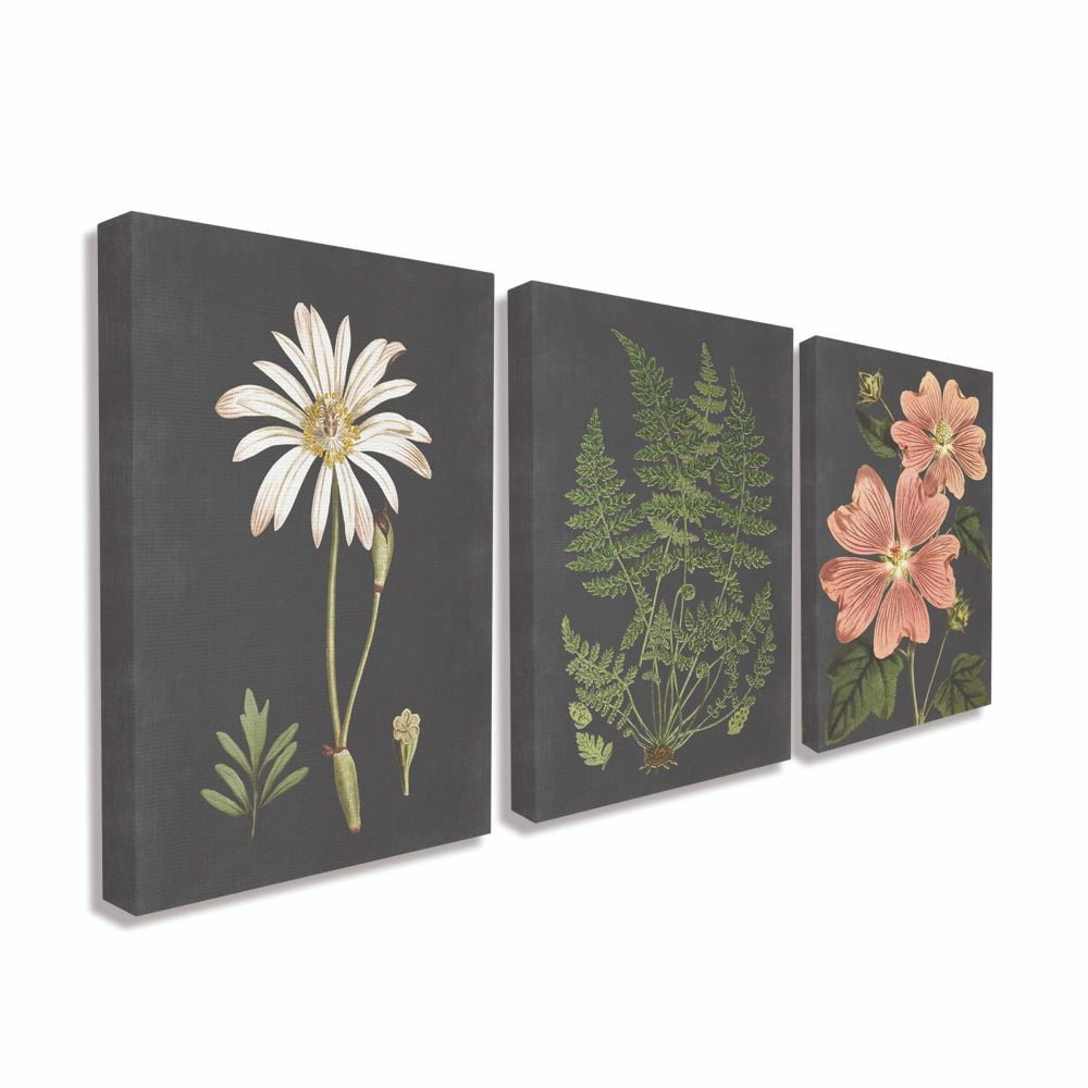 Stupell Industries Botanical Flowers Chalkboard Illustrations Canvas Wall Art by Lettered and Lined