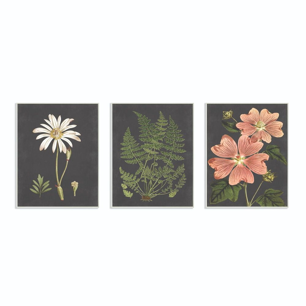 Botanical Flowers Chalkboard Illustrations Wood Wall Plaque Set