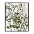 thumbnail image 1 of Stupell Industries Botanical Greenery Pattern Botanical & Floral Painting Black Framed Art Print Wall Art, 11 x 14, 1 of 10