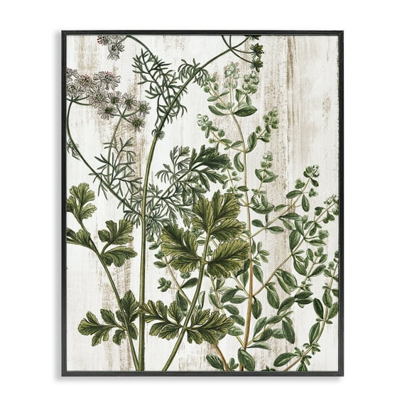 Stupell Industries Botanical Greenery Pattern Botanical & Floral Painting Black Framed Art Print Wall Art, 11 x 14