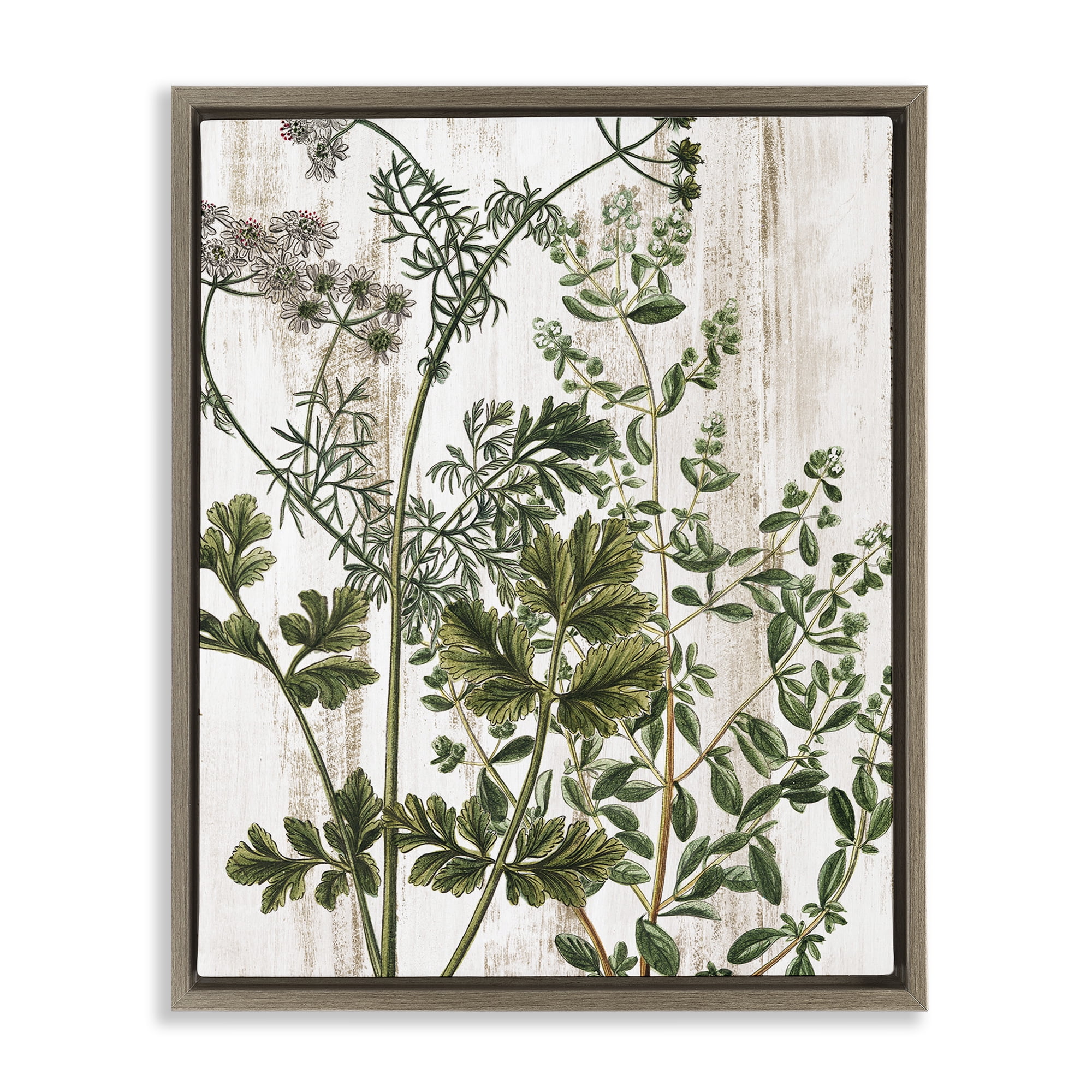 Stupell Industries Botanical Greenery Pattern Botanical & Floral Painting Brown Floater Framed Art Print Wall Art, 25 x 31