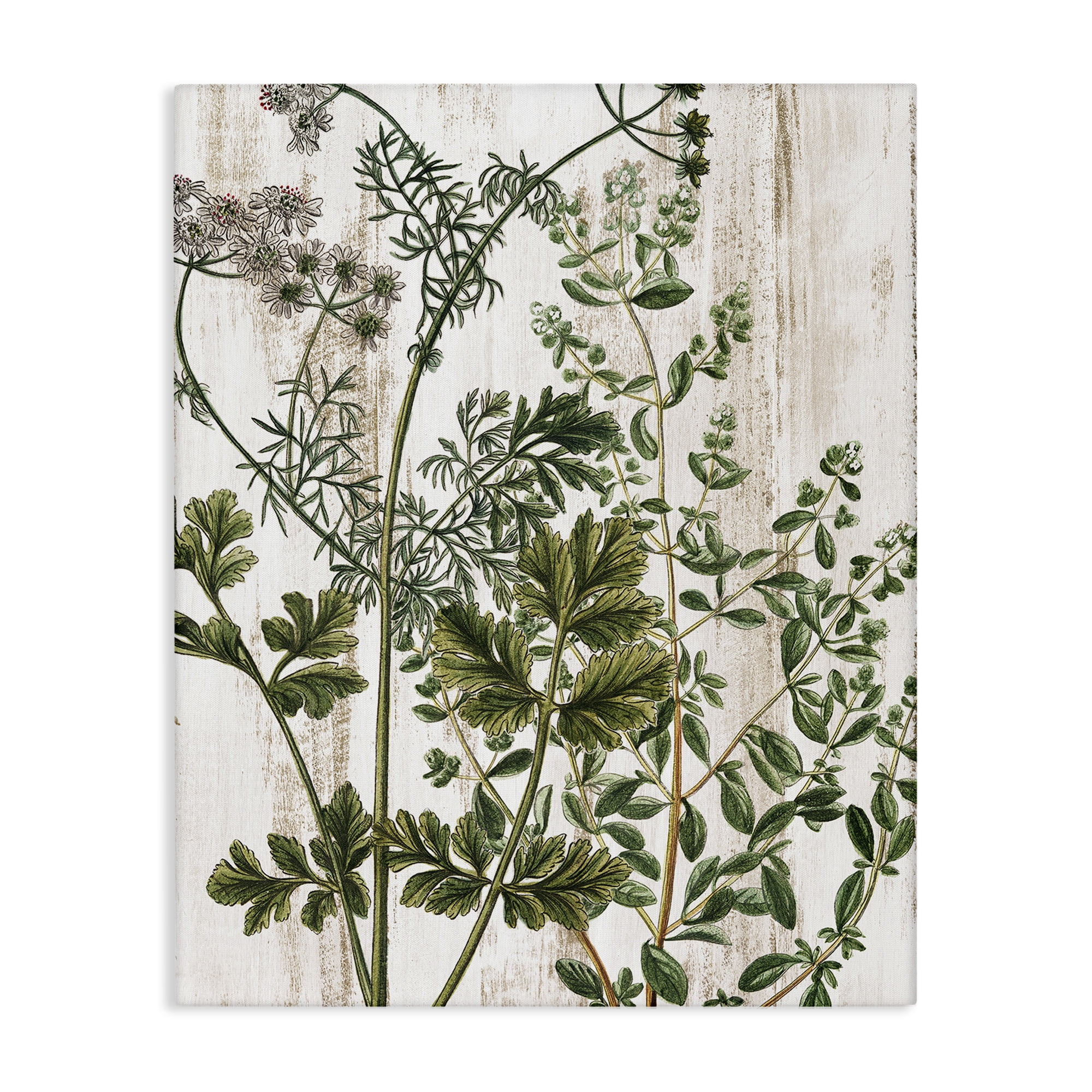 Stupell Industries Botanical Greenery Pattern Botanical & Floral Painting Gallery Wrapped Canvas Art Print Wall Art, 16 x 20
