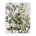 thumbnail image 1 of Stupell Industries Rustic Lodge Botanical Greenery Pattern Canvas Art, 16 x 20, by Kim Allen, 1 of 8