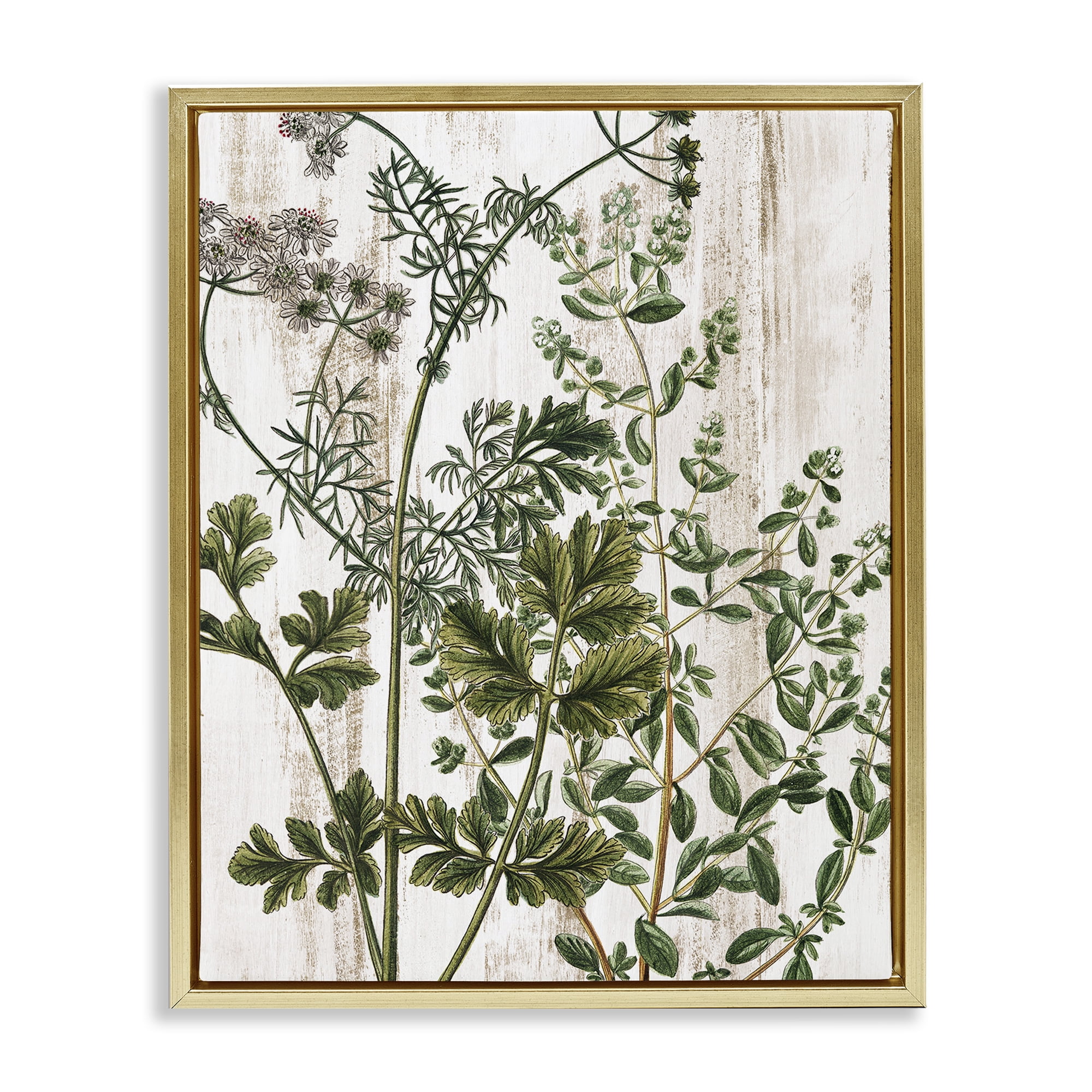 Stupell Industries Botanical Greenery Pattern Botanical & Floral Painting Gold Floater Framed Art Print Wall Art, 17 x 21