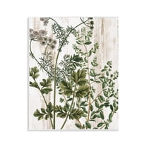 Stupell Industries Botanical Greenery Pattern Botanical & Floral Painting Unframed Art Print Wall Art, 11 x 14