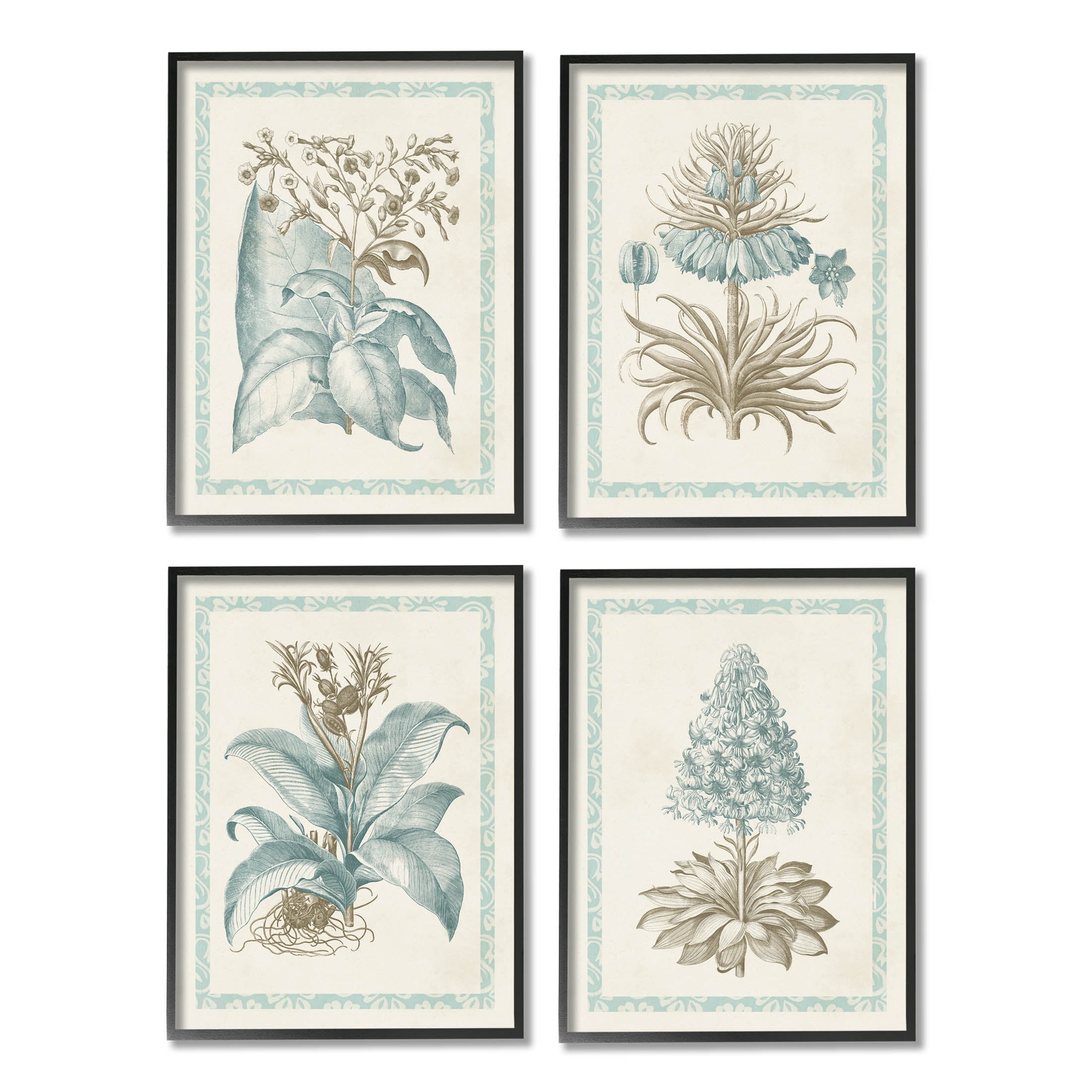 Stupell Industries Botanical Herb Latin Studies Graphic Art Black Framed Art Print Wall Art, Set of 4, Design by Vision Studio
