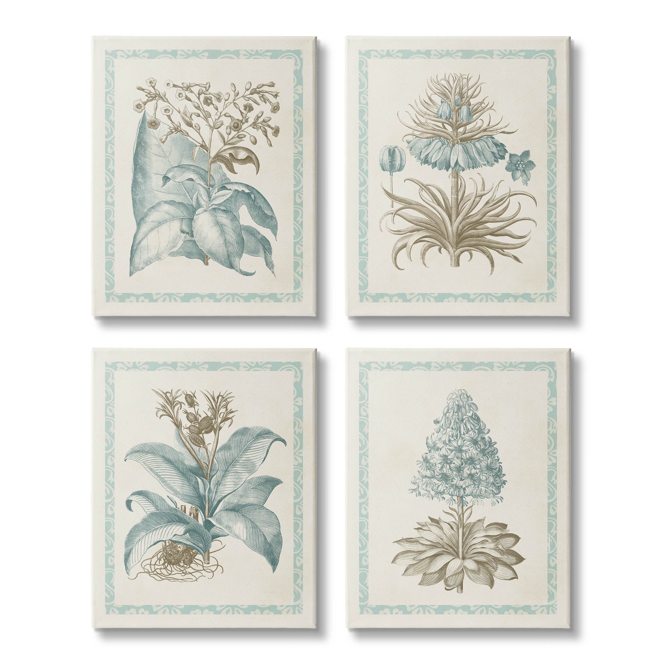 Botanical Herb Latin Studies Blue and Beige Canvas Wall Art Set