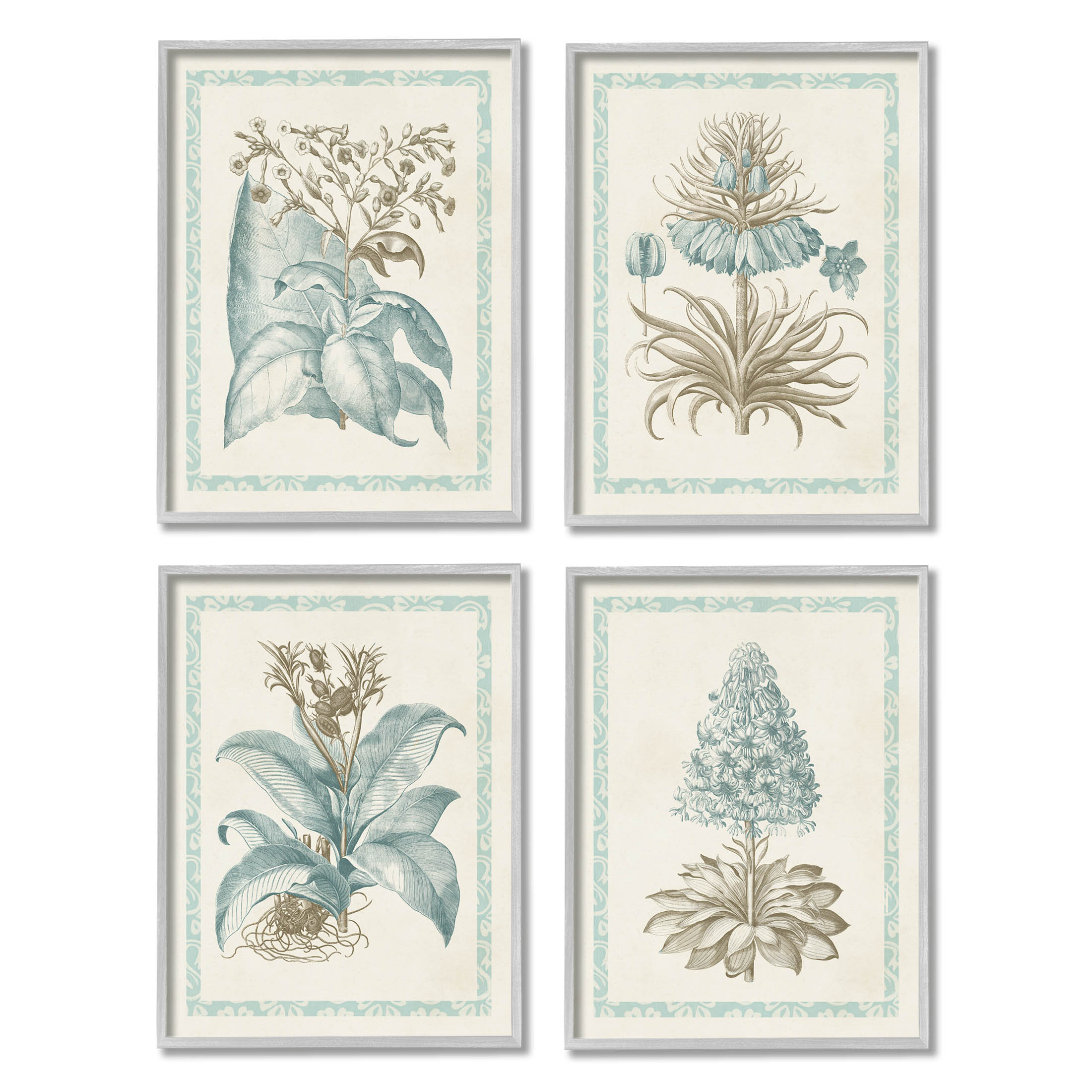 Stupell Industries Botanical Herb Latin Studies Graphic Art Gray Framed Art Print Wall Art, Set of 4, Design by Vision Studio