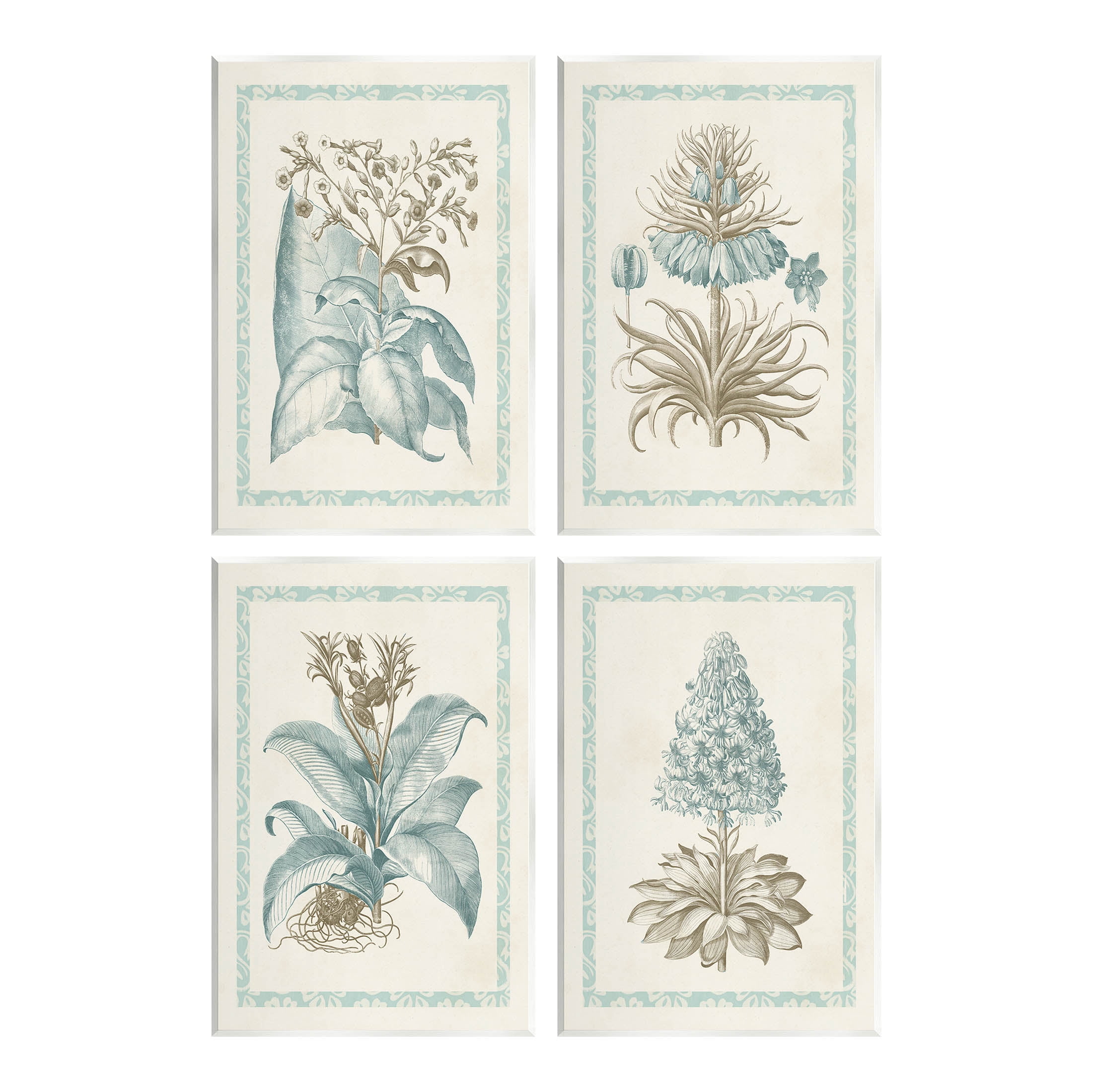 Stupell Industries Botanical Herb Latin Studies Graphic Art Unframed Art Print Wall Art, Set of 4, Design by Vision Studio
