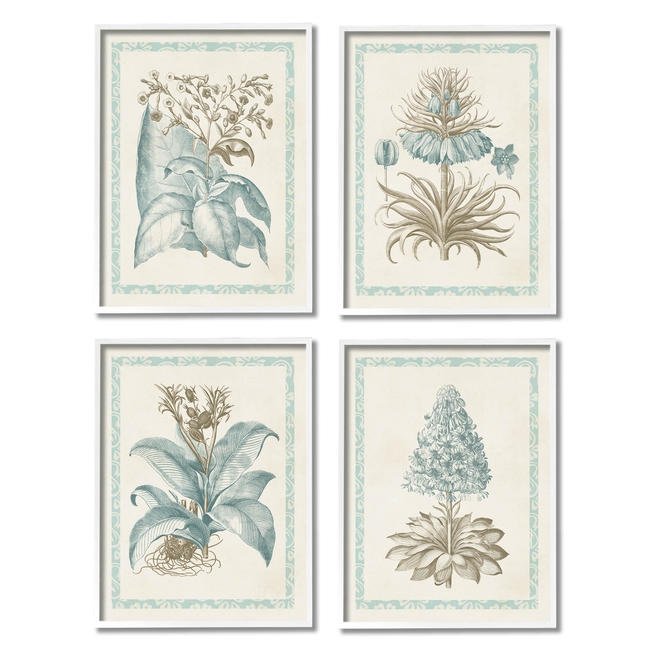 Stupell Industries Botanical Herb Latin Studies Graphic Art White Framed Art Print Wall Art, Set of 4, Design by Vision Studio