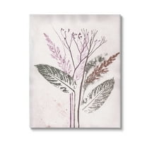 Stupell Industries Botanical Imprint Shapes Botanical & Floral Painting Gallery Wrapped Canvas Art Print Wall Art, 16 x 20
