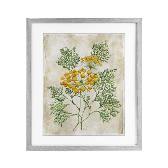 Stupell Industries Botanical Journal Page Gray Framed Print Under Glass design by Paul Brent, 21 x 17