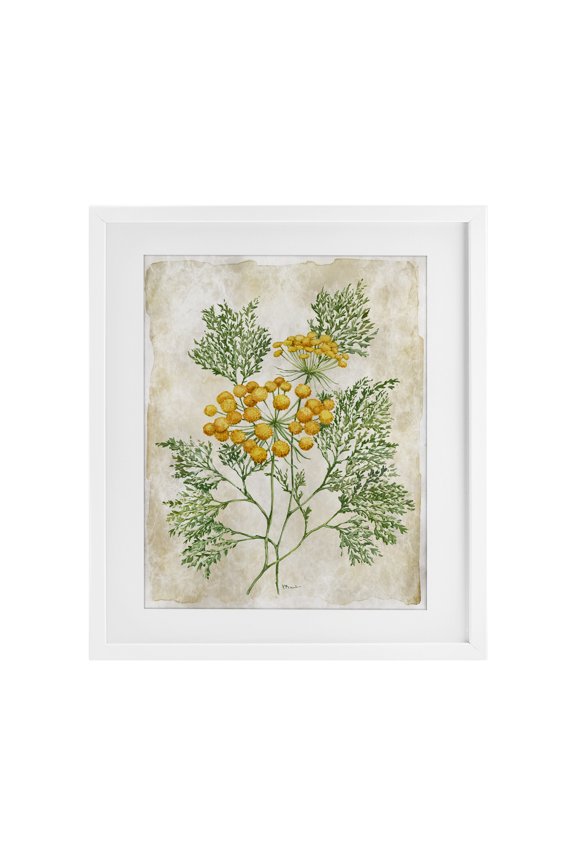 Industries Botanical Journal Page White Framed Print Under Glass design by Paul Brent, 21 x 17