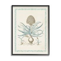 Stupell Industries Botanical Latin Study Plant Graphic Art Black Framed Art Print Wall Art, Design by Vision Studio