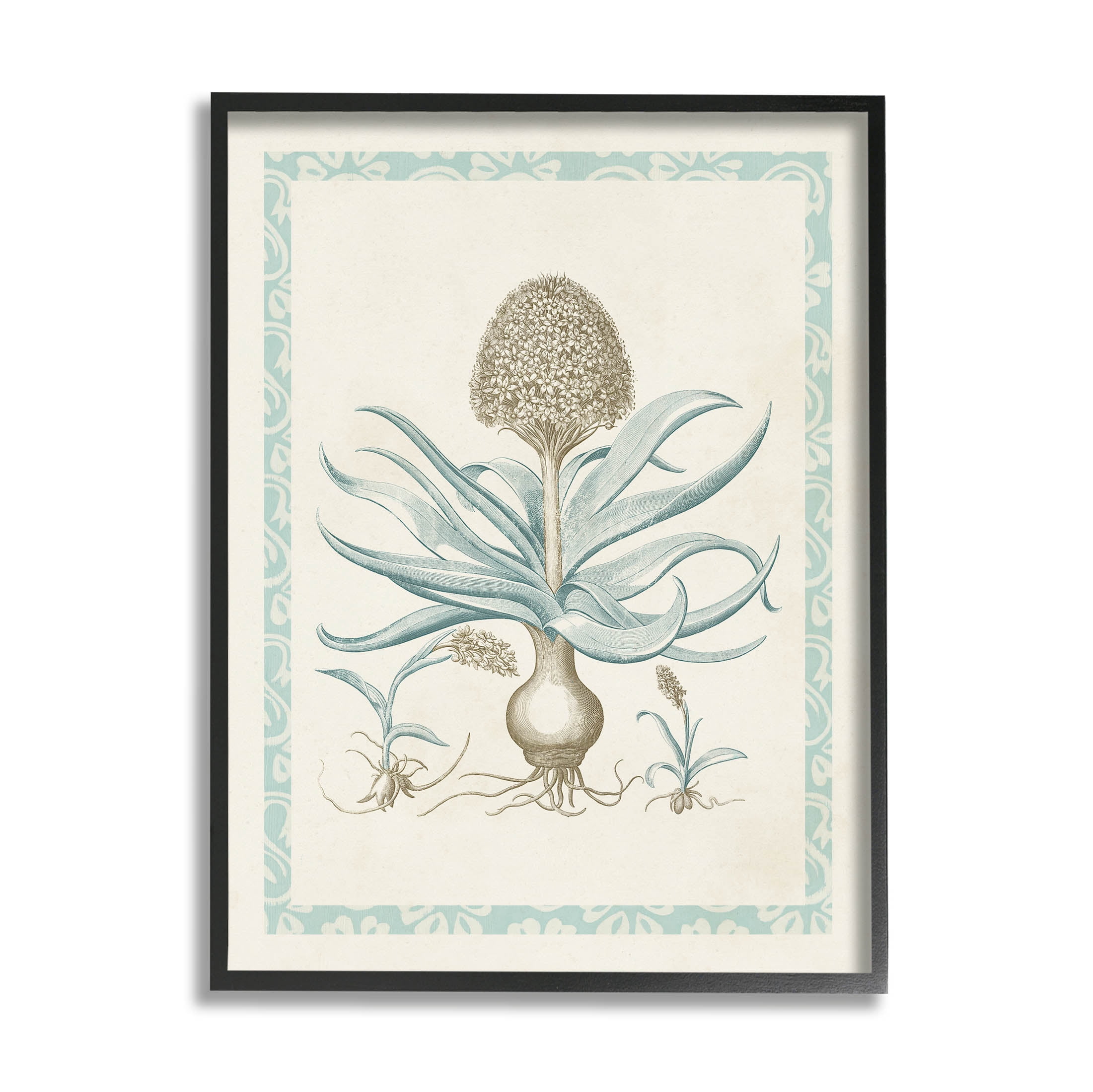 Stupell Industries Botanical Latin Study Plant Graphic Art Black Framed Art Print Wall Art, Design by Vision Studio