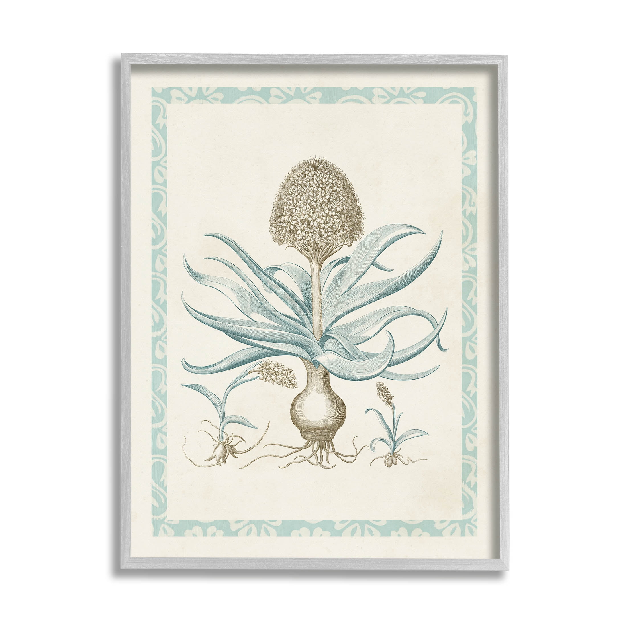 Stupell Industries Botanical Latin Study Plant Graphic Art Gray Framed Art Print Wall Art, Design by Vision Studio