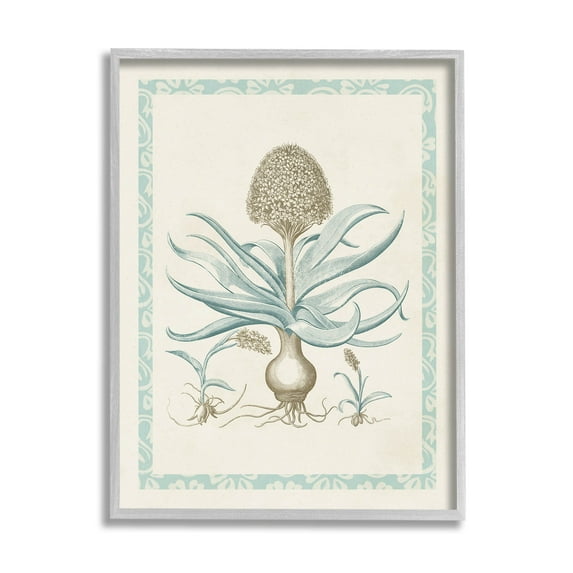 Stupell Industries Botanical Latin Study Plant Graphic Art Gray Framed Art Print Wall Art, Design by Vision Studio