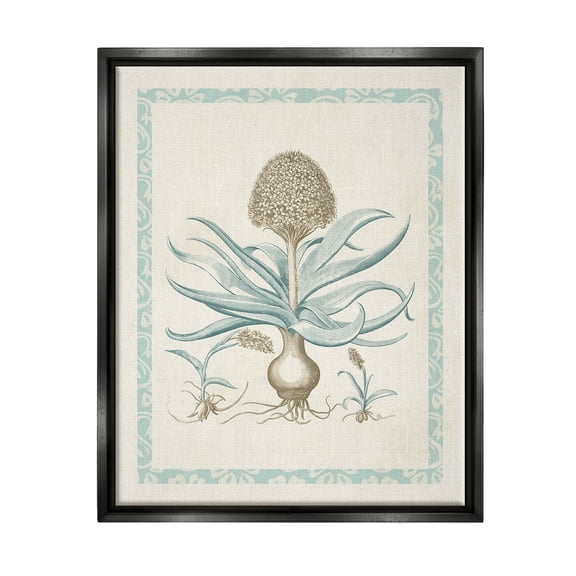 Stupell Industries Botanical Latin Study Plant Graphic Art Jet Black Floating Framed Canvas Print Wall Art, Design by Vision Studio