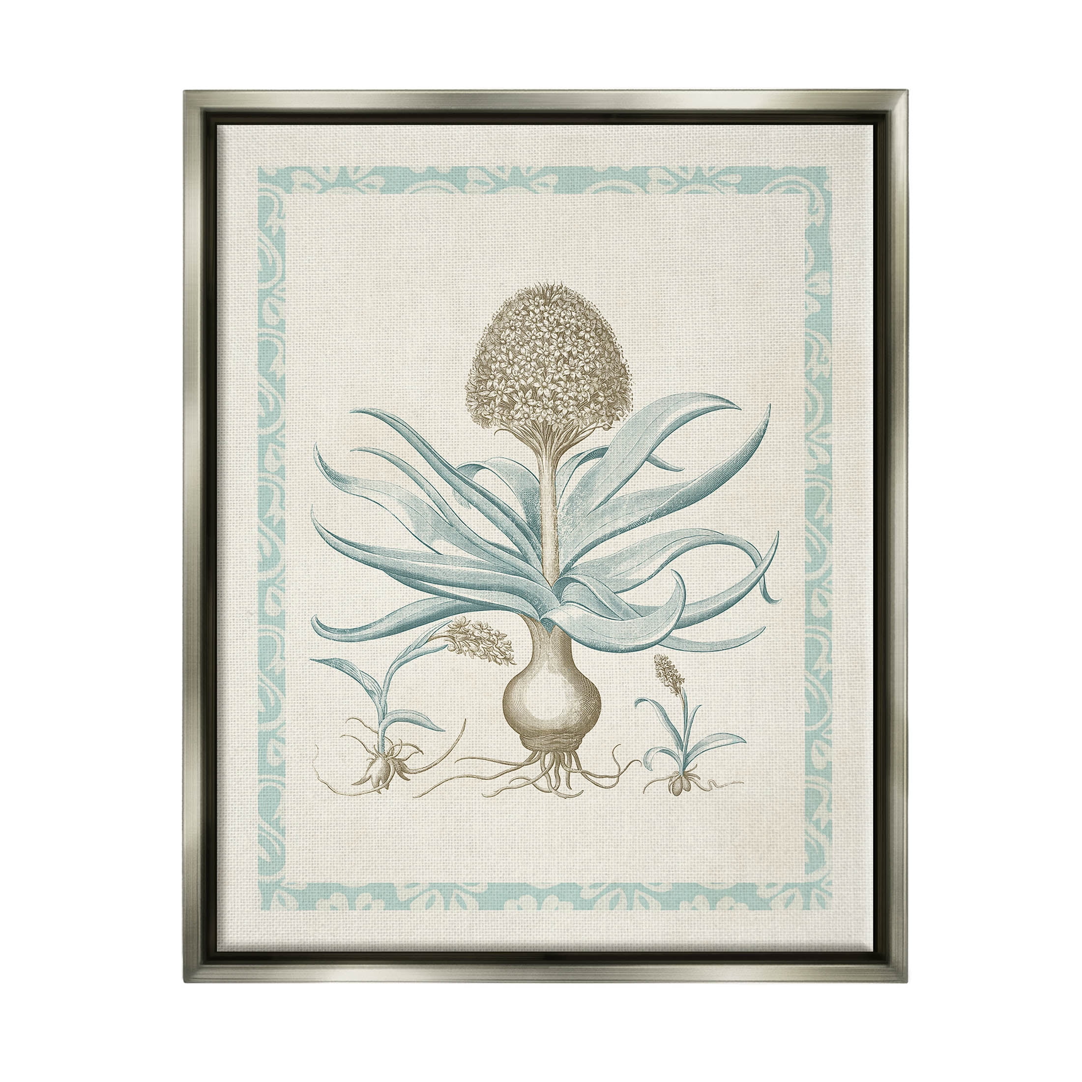 Stupell Industries Botanical Latin Study Plant Graphic Art Luster Gray Floating Framed Canvas Print Wall Art, Design by Vision Studio