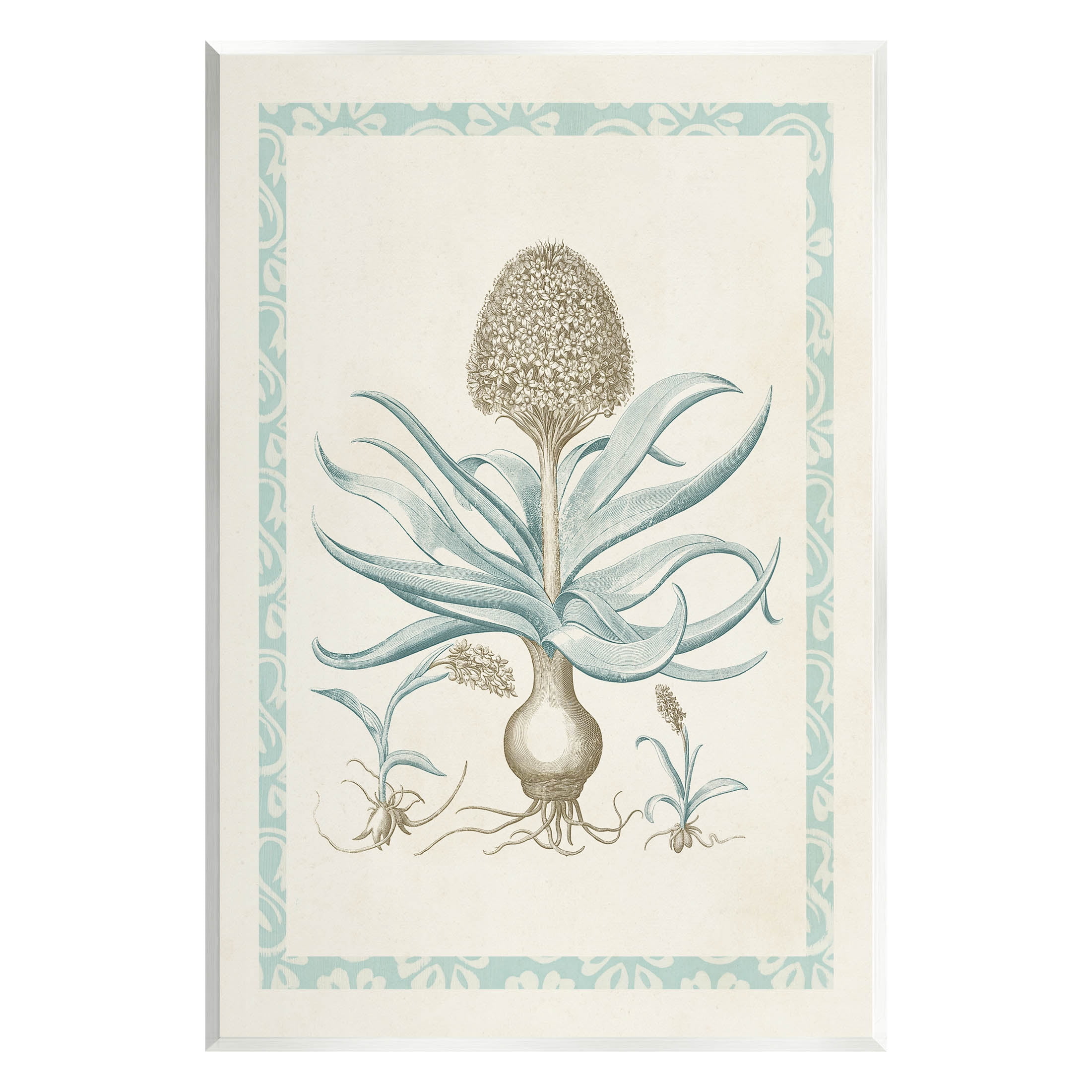 Stupell Industries Botanical Latin Study Plant Graphic Art Unframed Art Print Wall Art, Design by Vision Studio