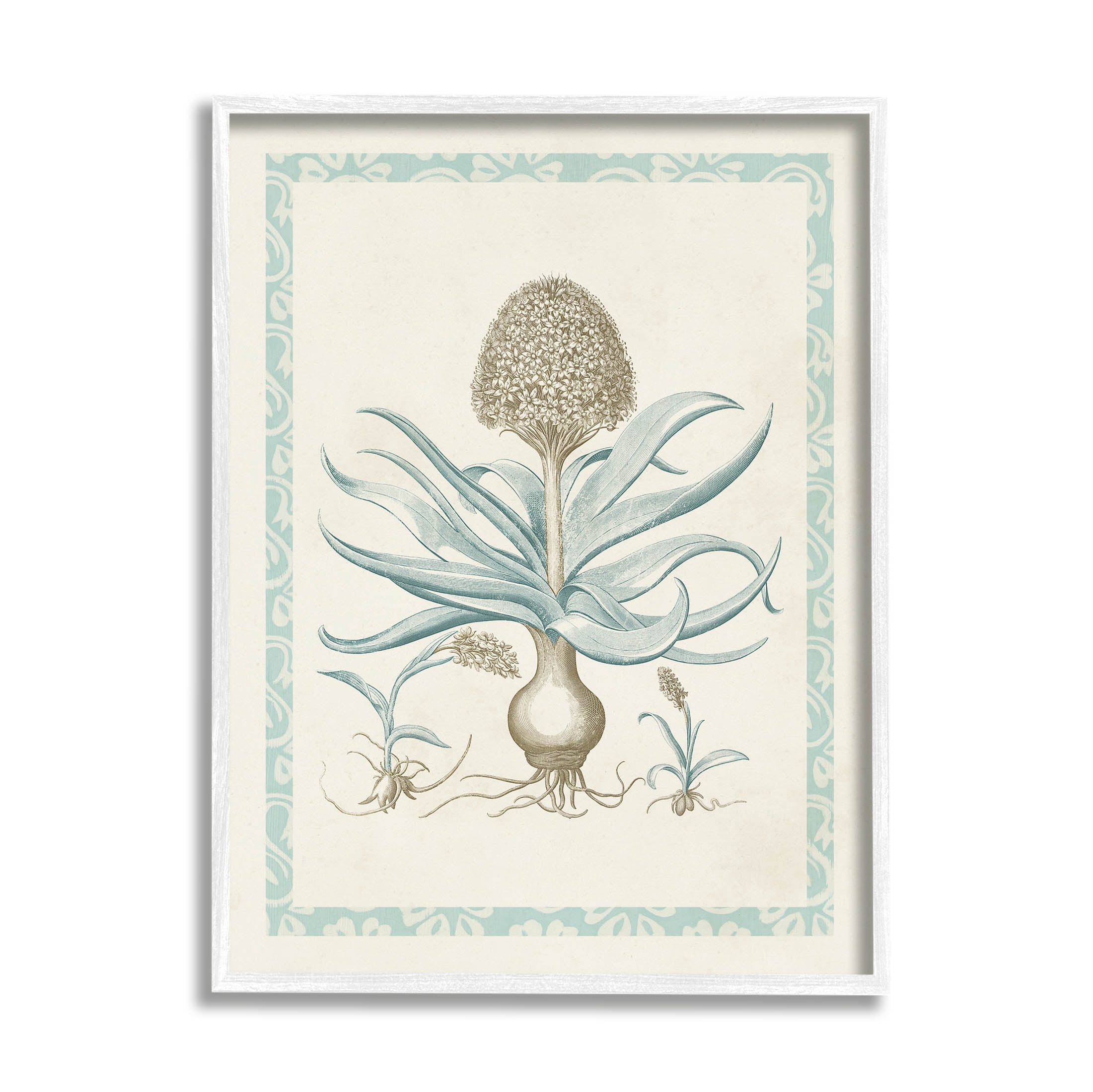 Stupell Industries Botanical Latin Study Plant Graphic Art White Framed Art Print Wall Art, Design by Vision Studio