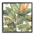 thumbnail image 1 of Stupell Industries Botanical Leaves Watercolor Plant Botanical & Floral Painting Black Framed Art Print Wall Art, 1 of 5