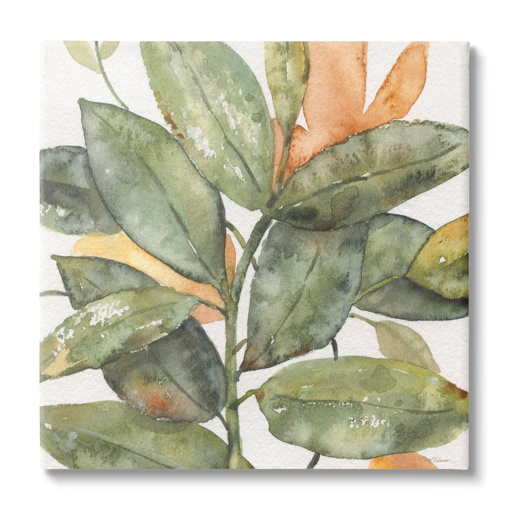 Botanical Leaves Watercolor Plant Canvas Art, 36" x 36"